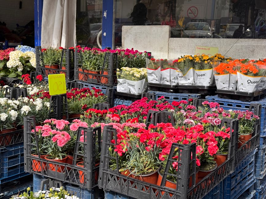 A display of potted flowering plants arranged in black plastic crates outside a flower shop, featuring bright pink, red, orange, white, and yellow blooms, predominantly carnations and other seasonal f