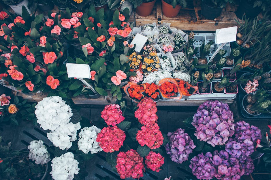 An outdoor display of various fresh floral arrangements and individual plants arranged on wooden tables and black plastic crates, featuring vibrant pink, purple, white, and orange flowers. The flowers
